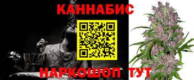 индика Пугачёв