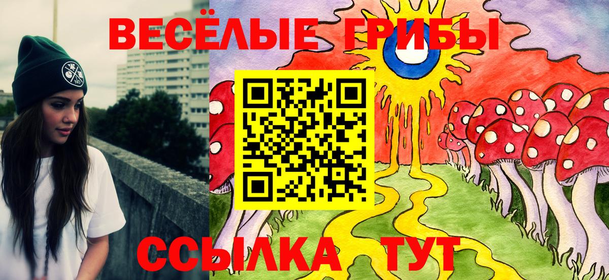 Псилоцибиновые грибы MAGIC MUSHROOMS  Вход с VPN  Алатырь 